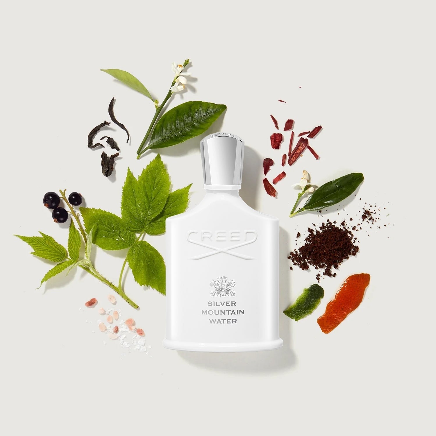 Silver Mountain Water by Creed EDP