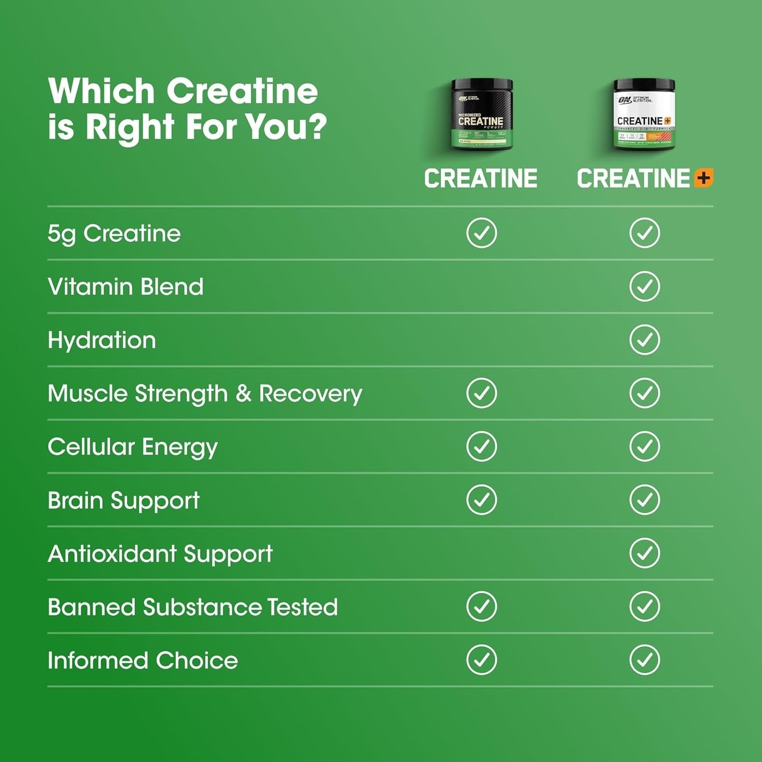 Optimum Nutrition Micronized Creatine Monohydrate