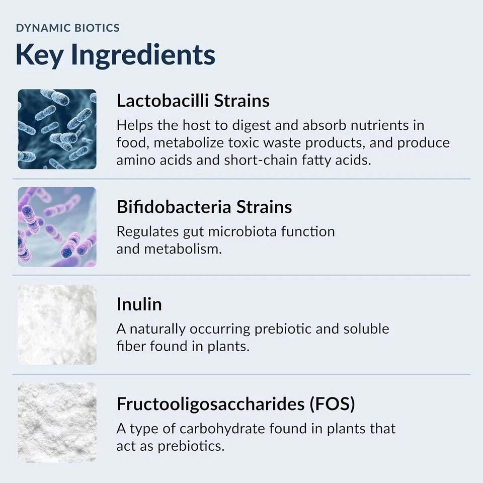 Dynamic BIOTICS Stonehenge Probiotic Immune IBS