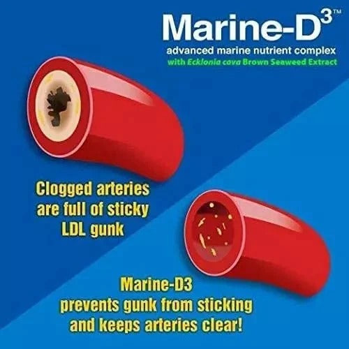 Marine Essentials | Marine-D3 | Anti-Aging (60 Capsules)