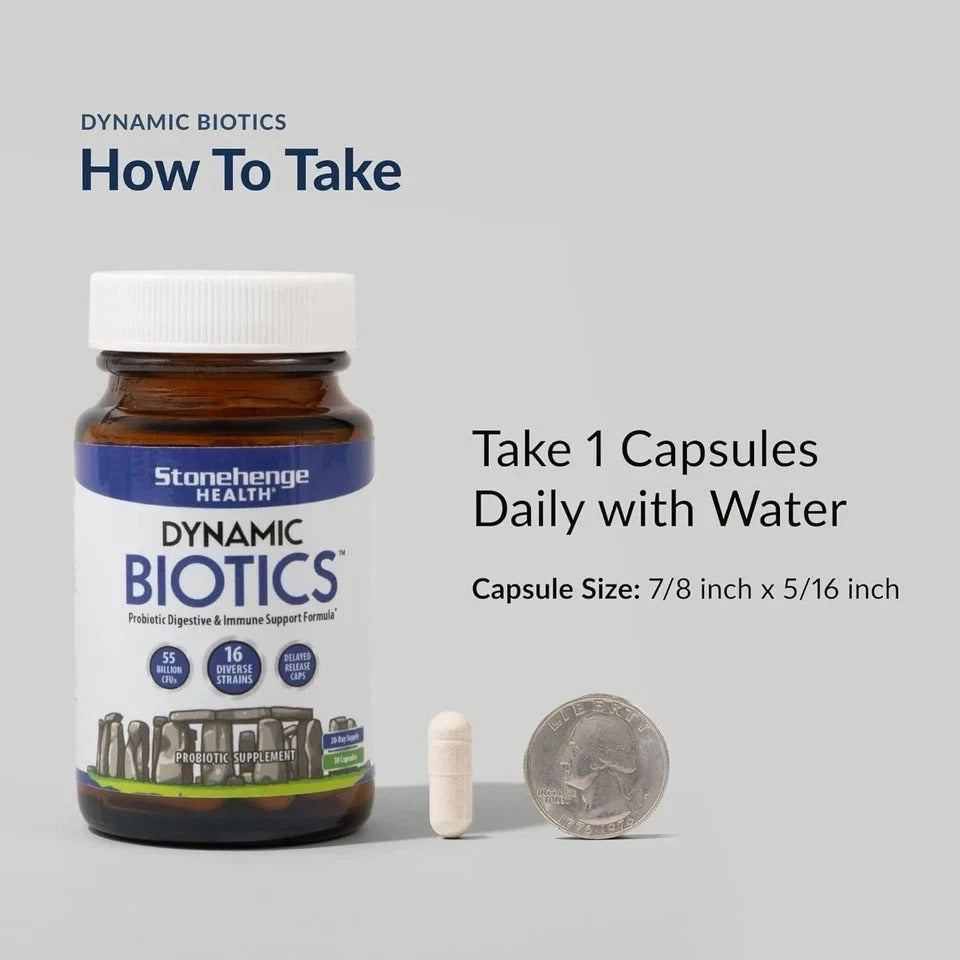 Dynamic BIOTICS Stonehenge Probiotic Immune IBS